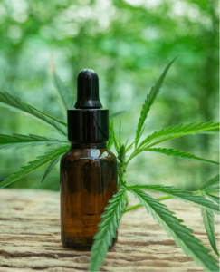 Veterans | Hill Family Cannabis Cannabis Plant